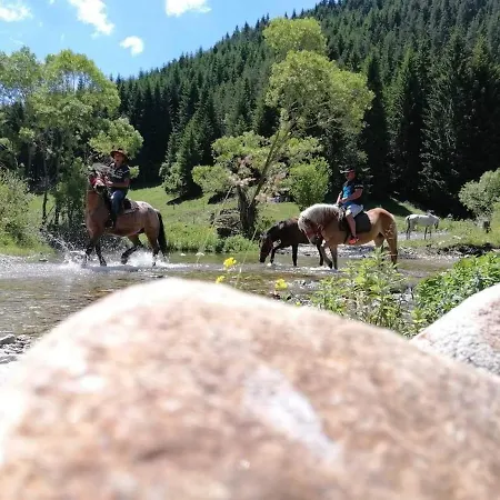 Семеен Хотел Триибрия Resort